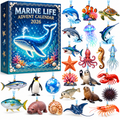 Marine Life Advent Calendar