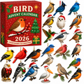 Festive Birds Advent Calendar