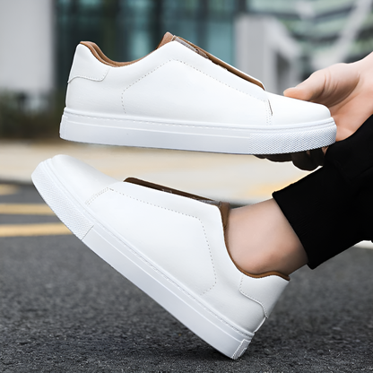 Elegant Comfort